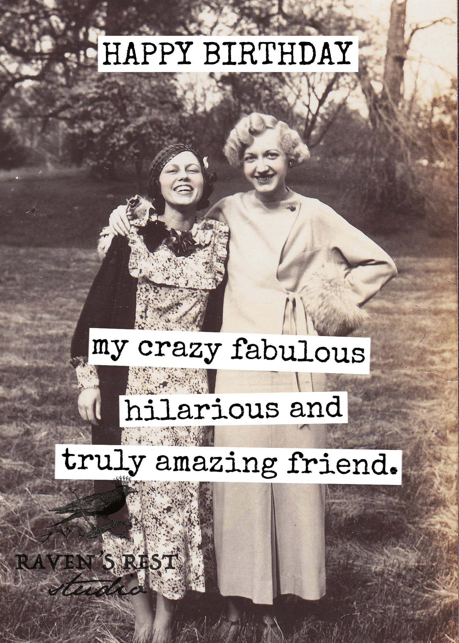 My Crazy Fabulous Hilarious Birthday Card