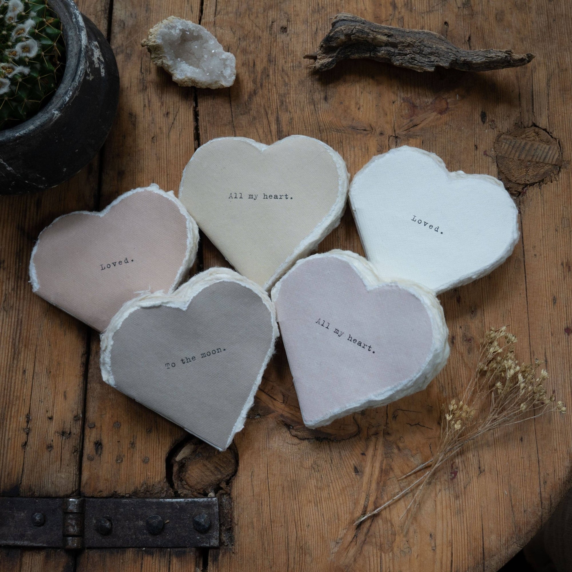 Deckled Edge Little Heart Books - Box Turtle