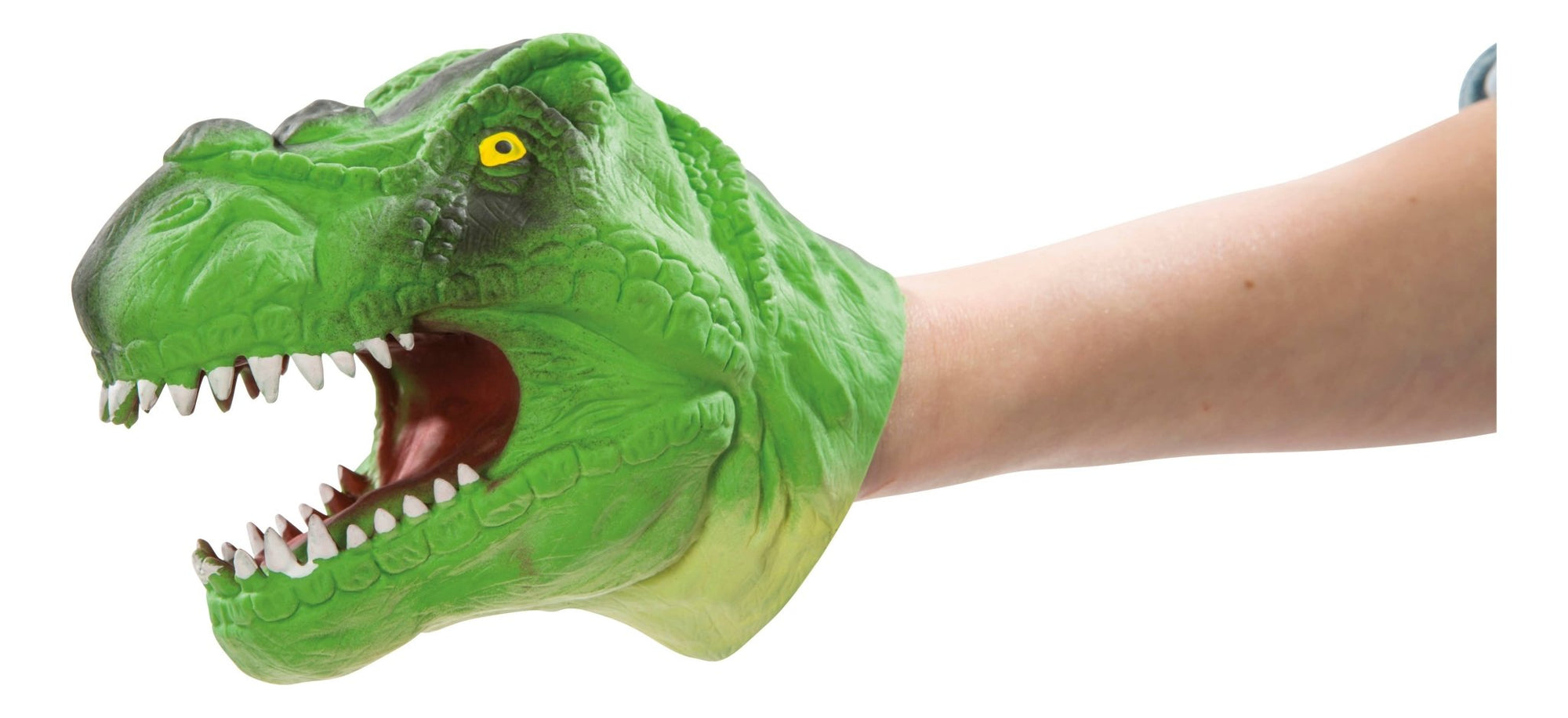 Dino Bite! Hand Puppet - Box Turtle