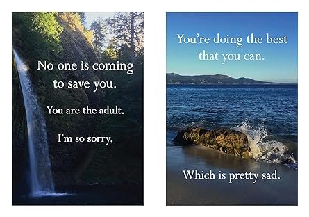 Disappointing Affirmations - Box Turtle