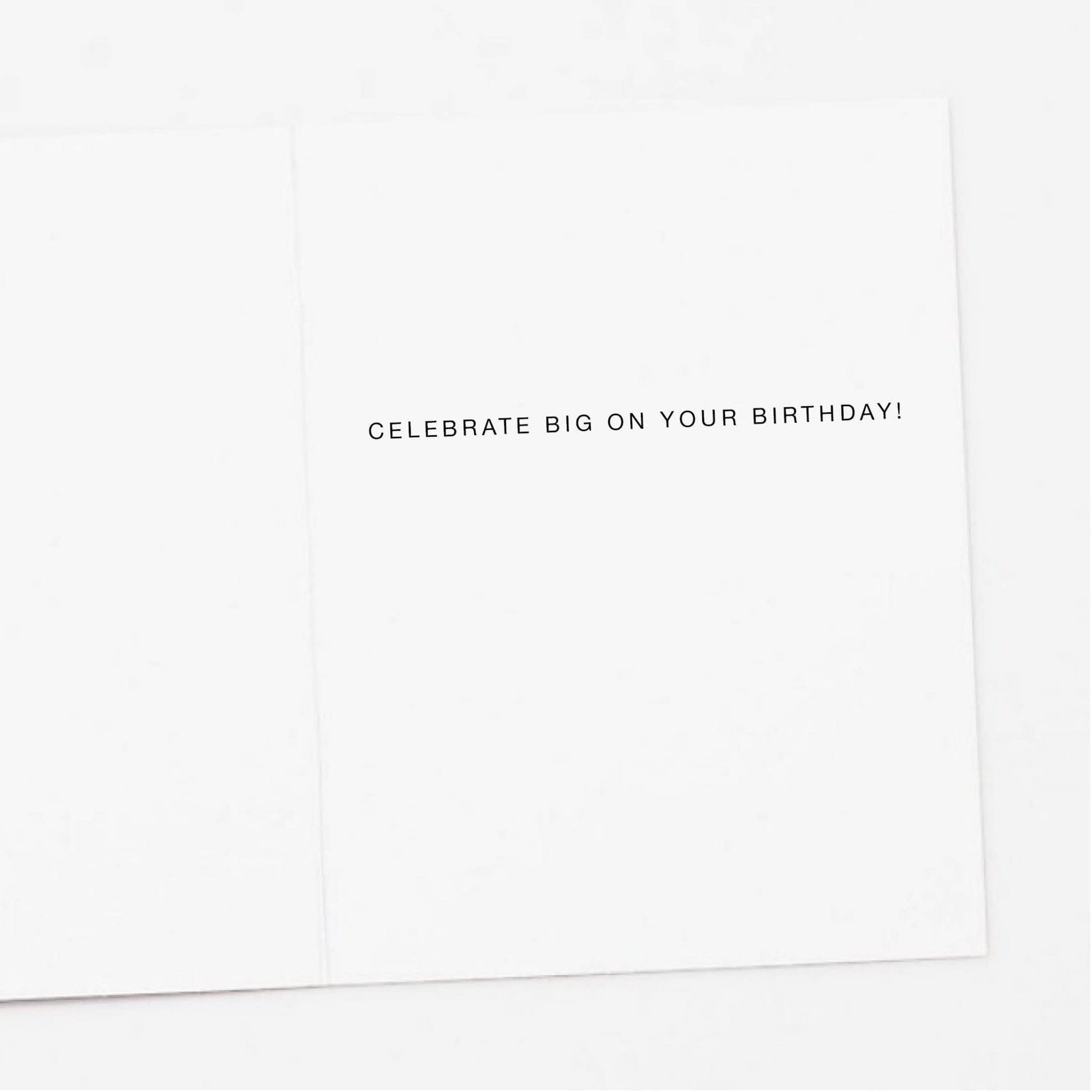 Disco Raccoon Birthday Card - Box Turtle