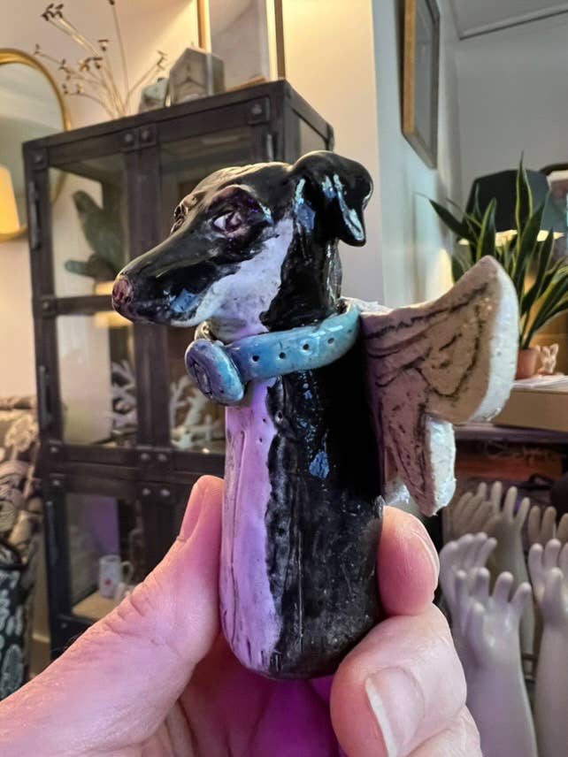 Dog Angel - Box Turtle