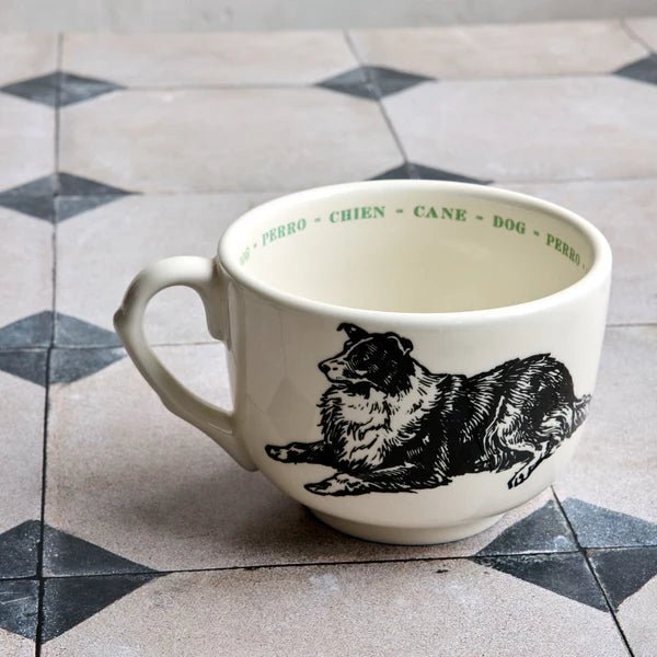 Dog Fauna Grand Cup - Box Turtle