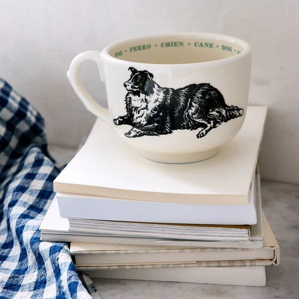 Dog Fauna Grand Cup - Box Turtle