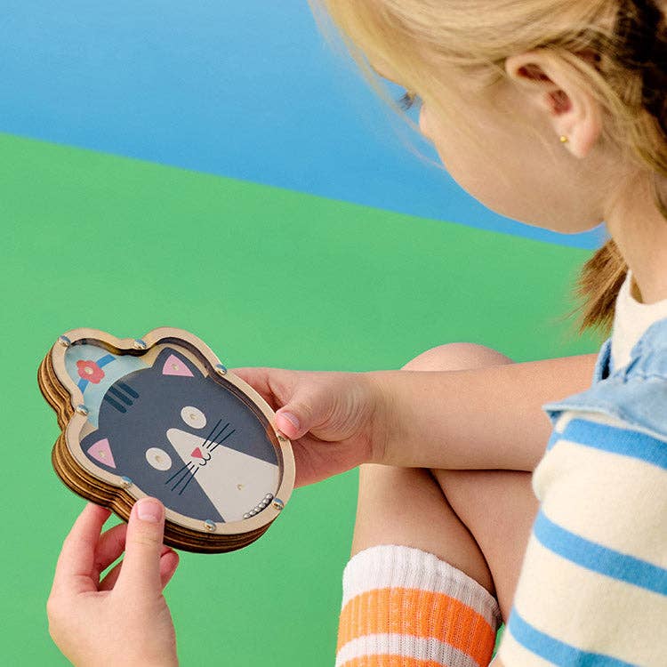 Double Sided Tilt & Roll Puzzle - Box Turtle