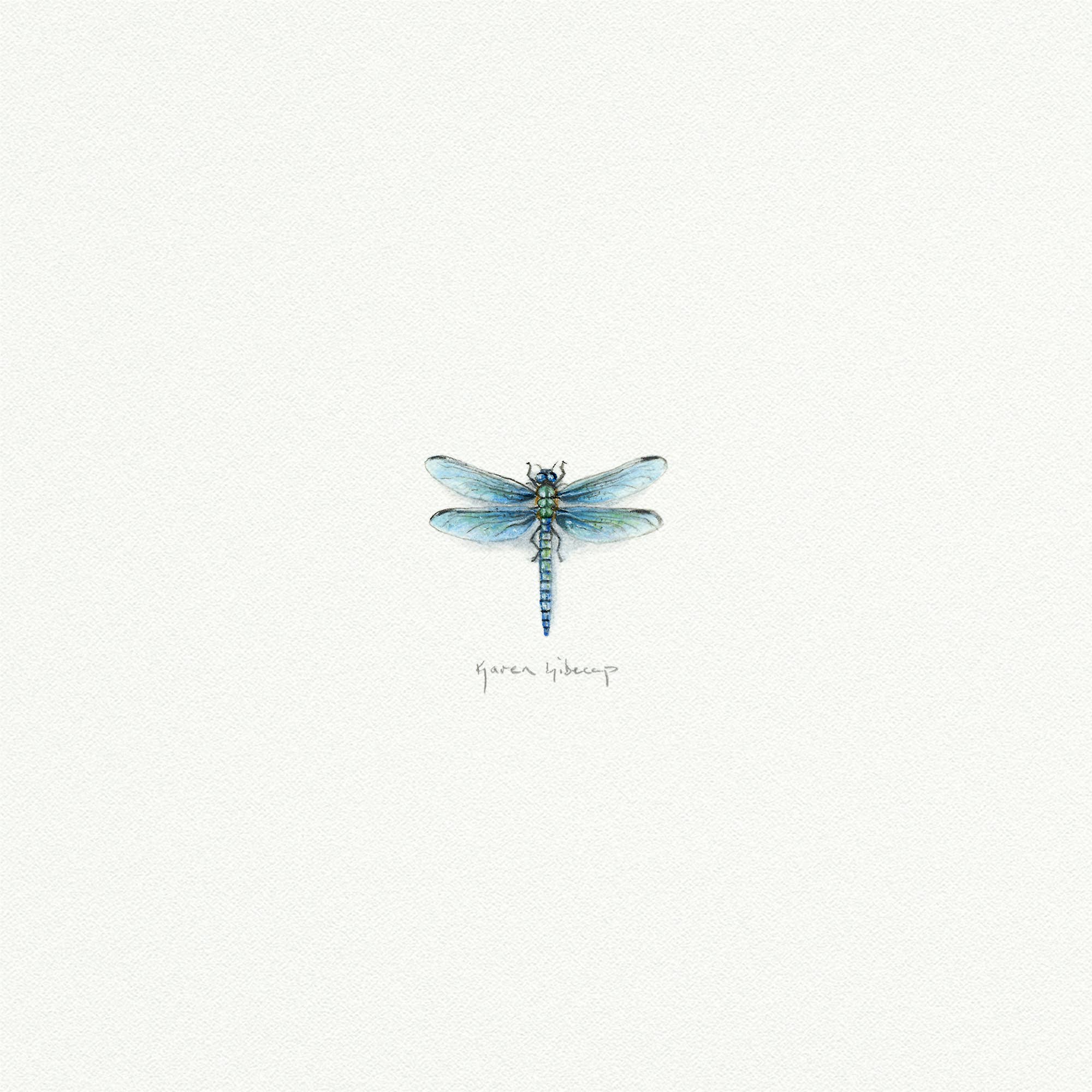 Dragonfly Miniature Watercolor Print - Box Turtle