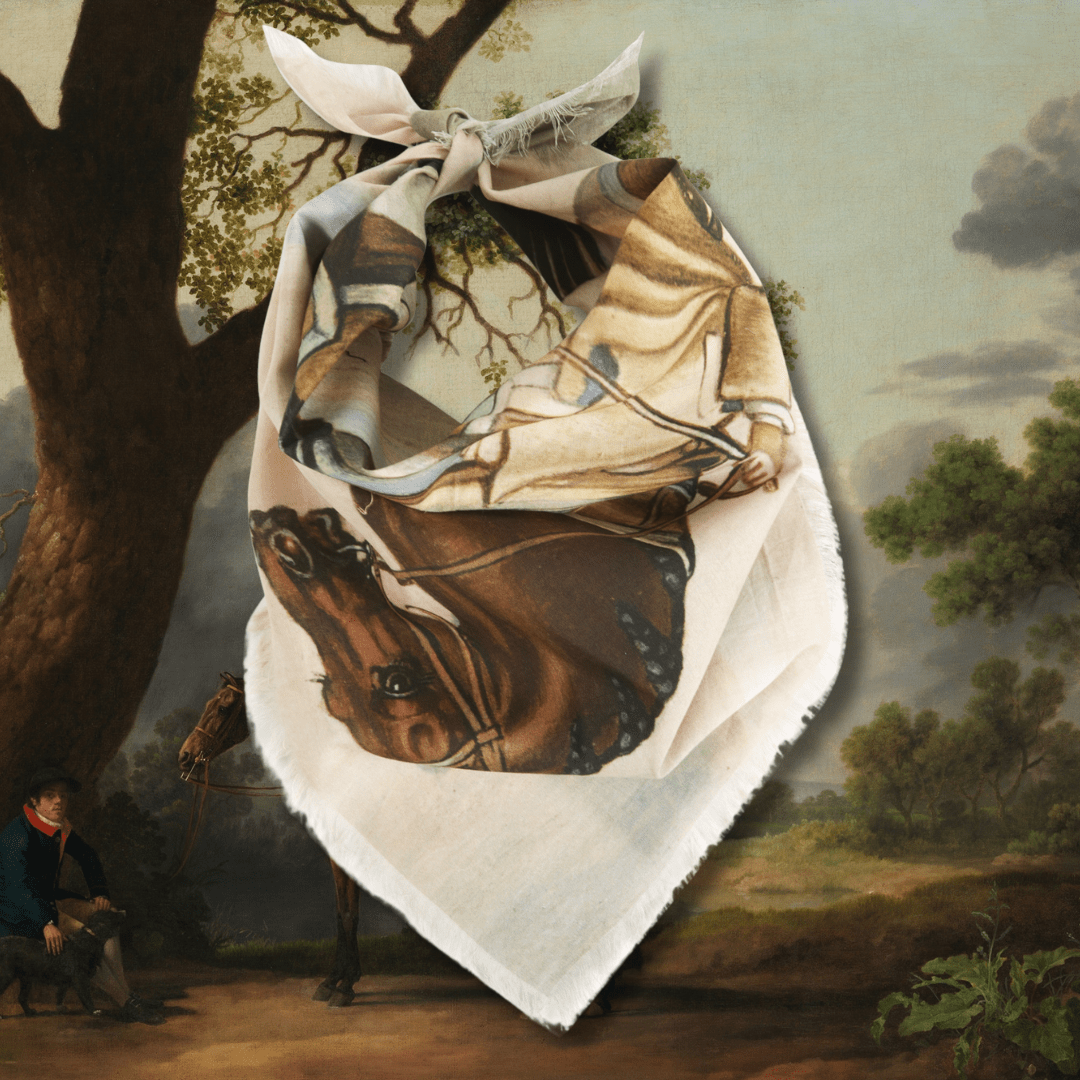 Dressage Voile Bandana - Box Turtle