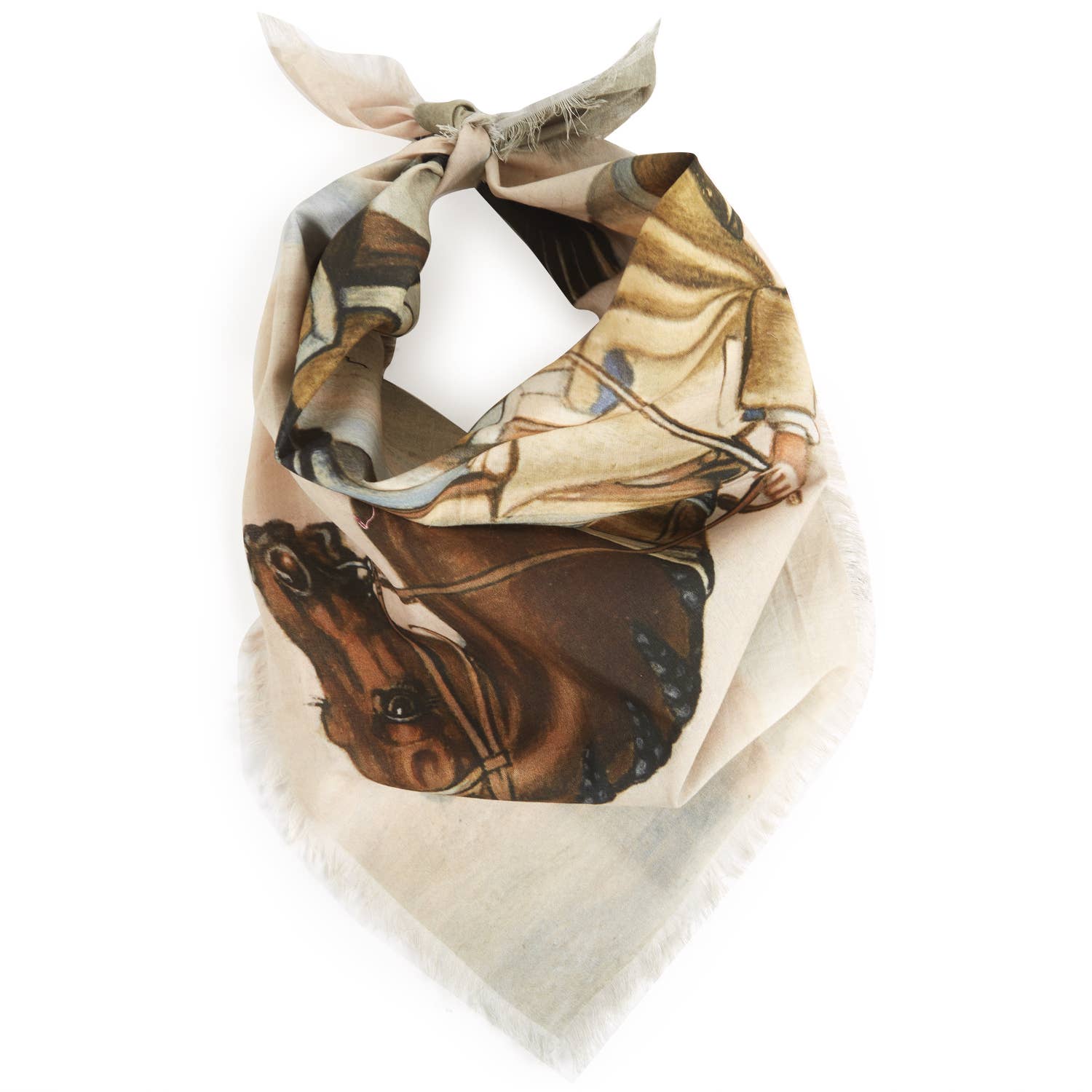 Dressage Voile Bandana - Box Turtle