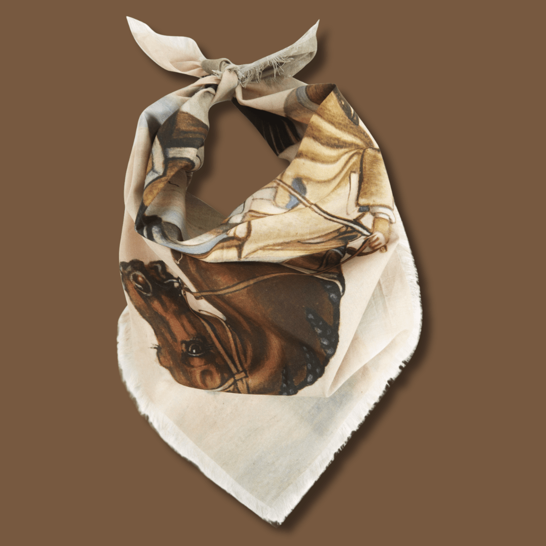 Dressage Voile Bandana - Box Turtle