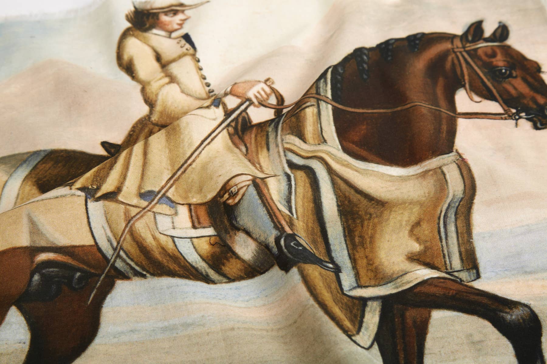 Dressage Voile Bandana - Box Turtle