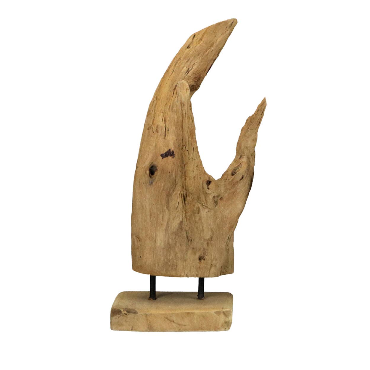 Driftwood on Base - Box Turtle