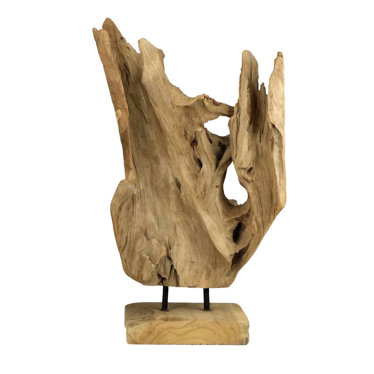 Driftwood on Base - Box Turtle