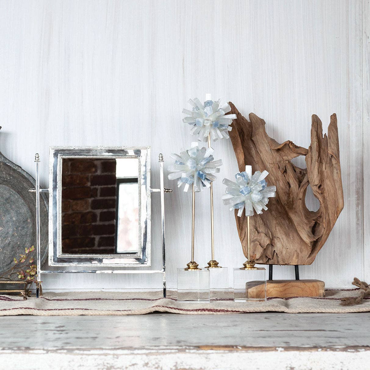 Driftwood on Base - Box Turtle