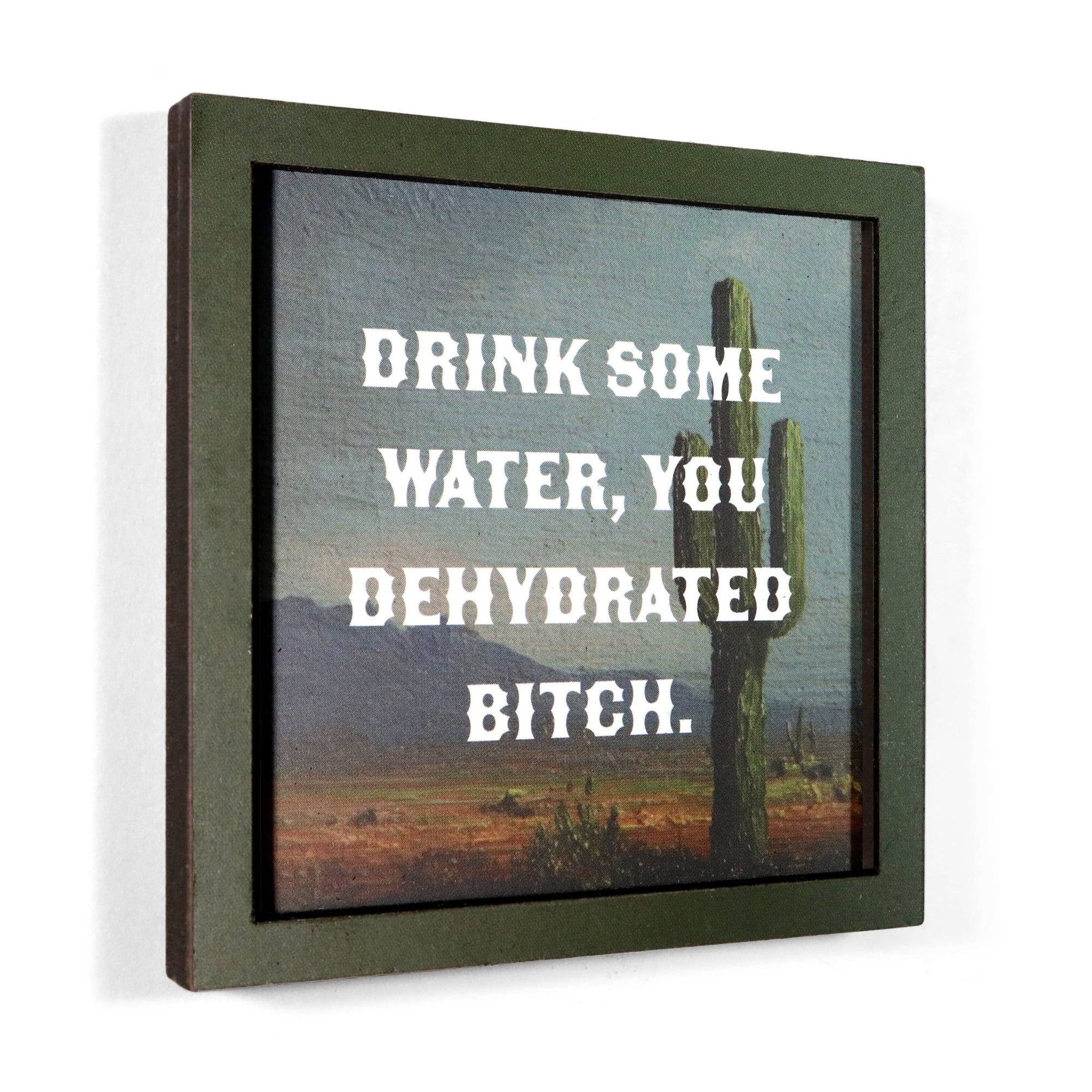 Drink Some Water, You Dehydrated Bitch - Magnet - Box Turtle