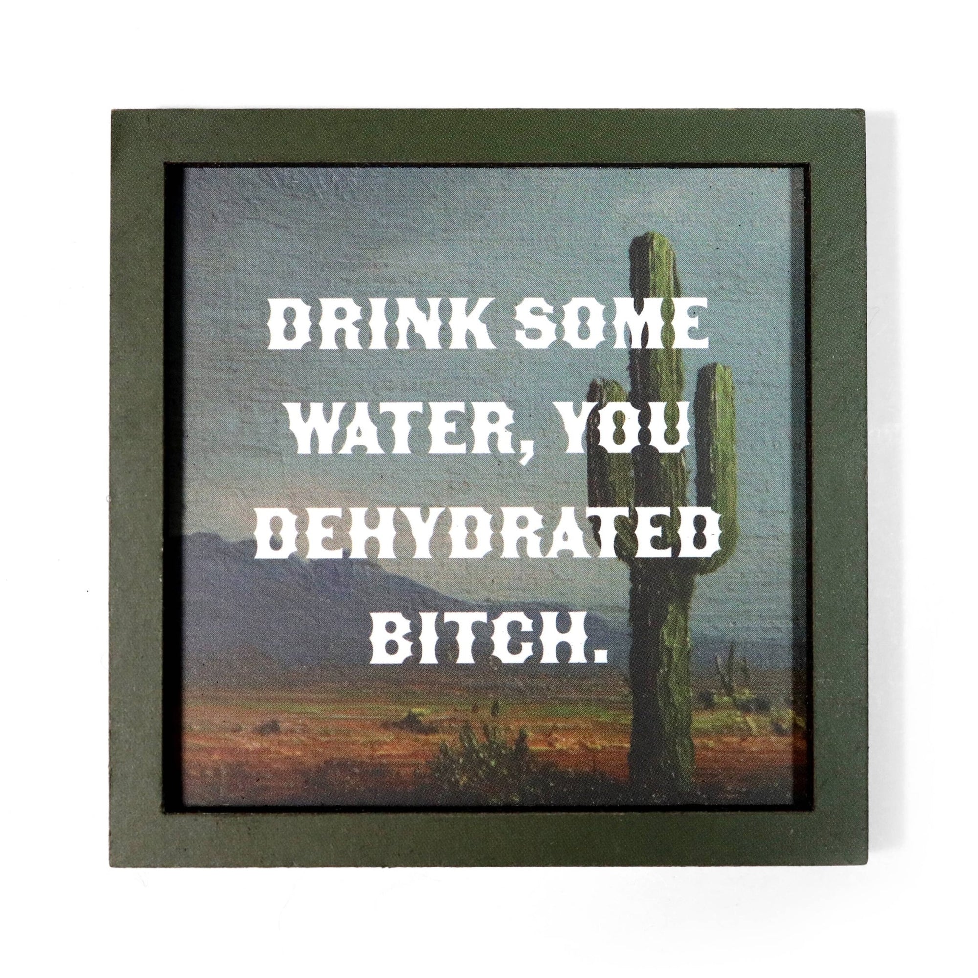 Drink Some Water, You Dehydrated Bitch - Magnet - Box Turtle