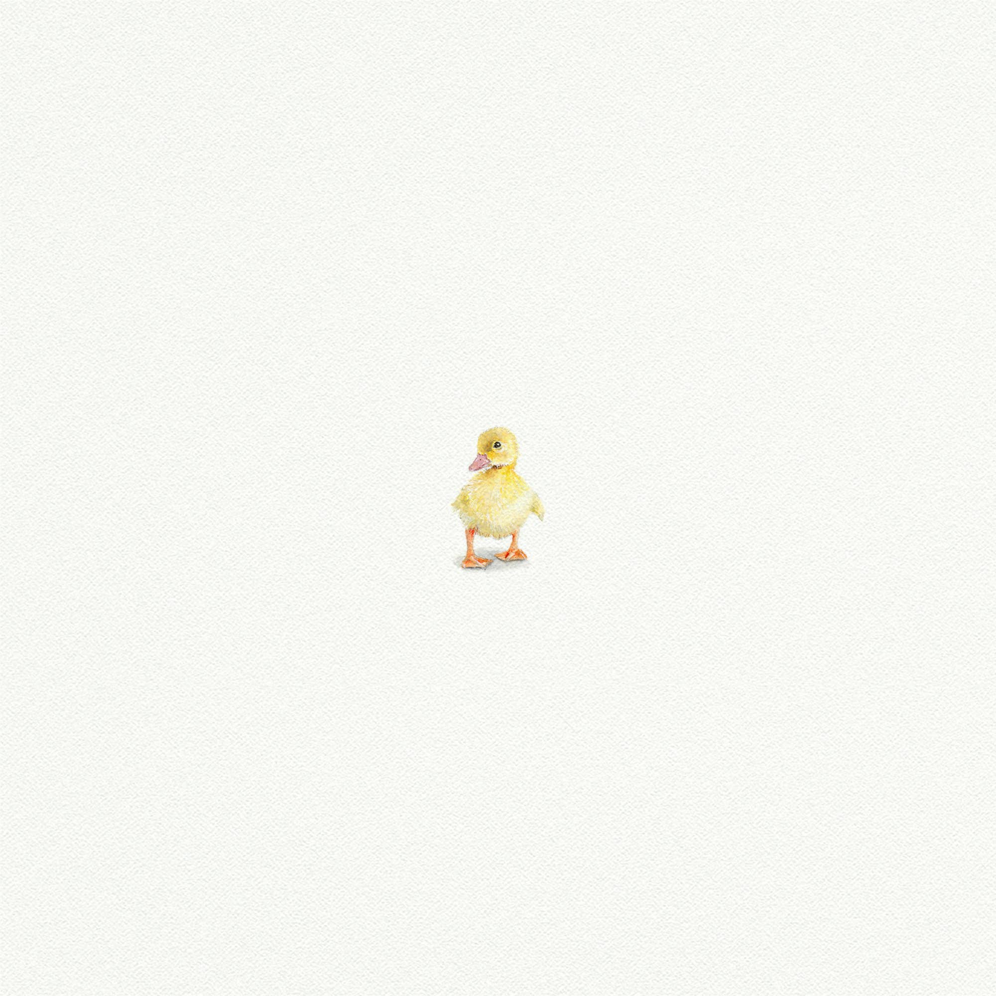 Duckling Miniature Watercolor Print - Box Turtle