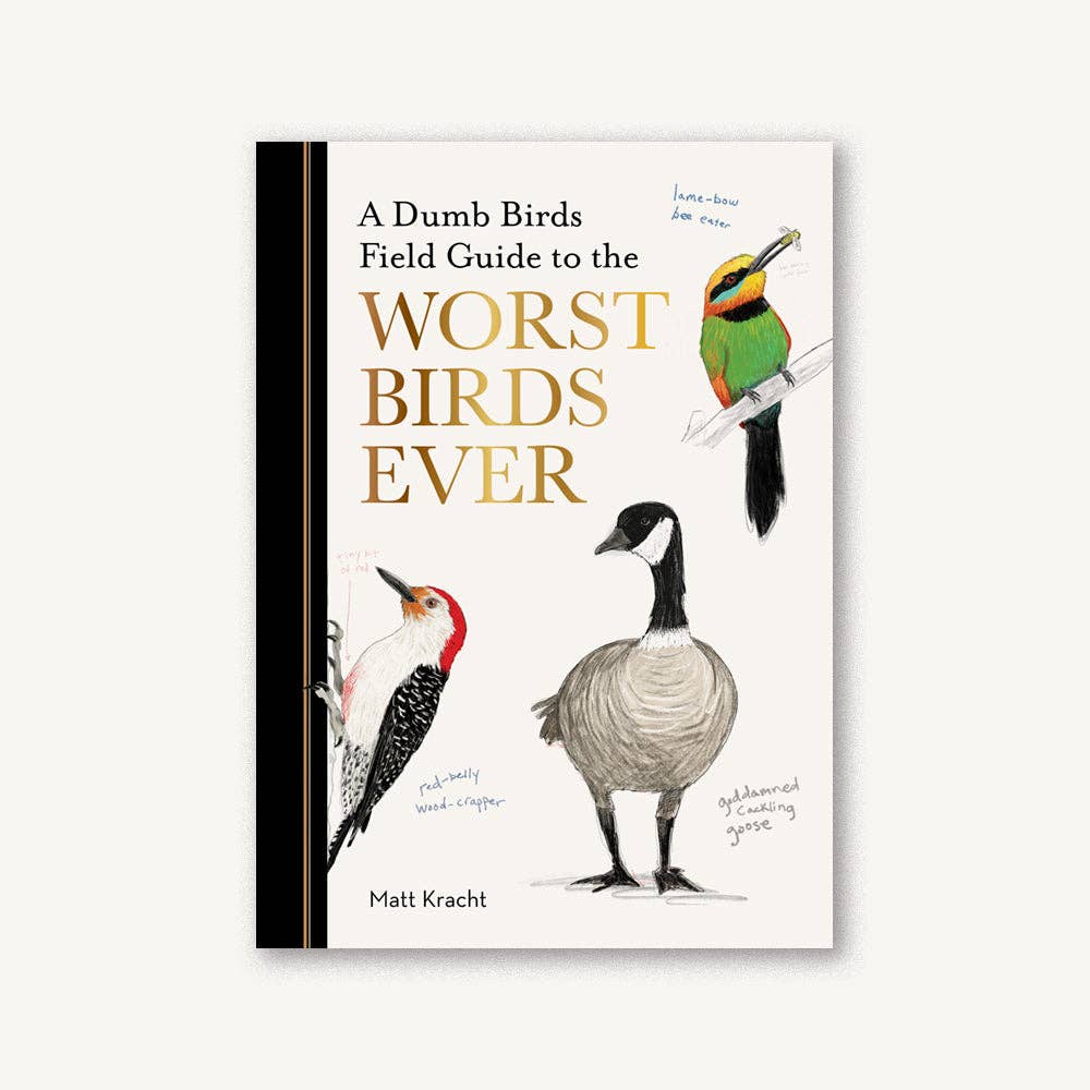 Dumb Birds Field Guide to the Worst Birds Ever - Box Turtle