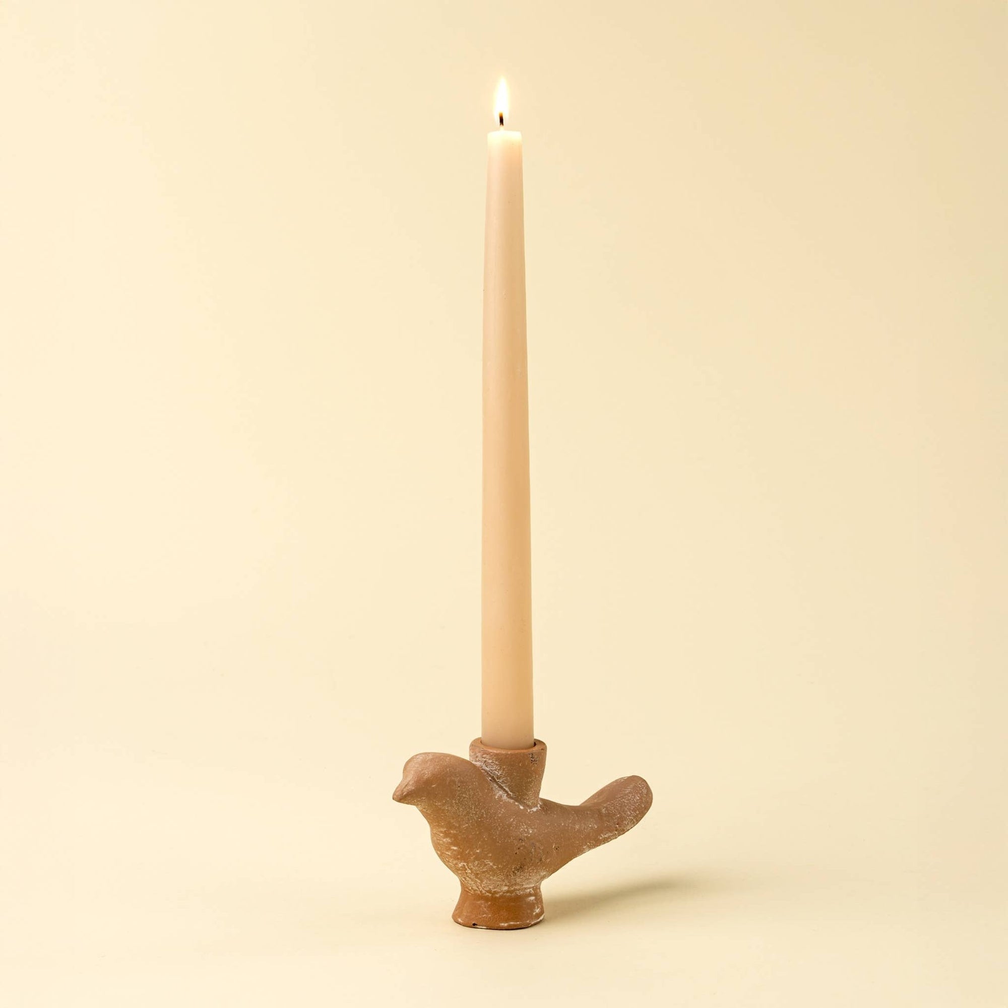 Dune Wren Candle Holder - Box Turtle