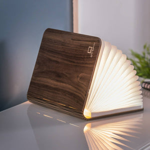 Accordion Book Lamp