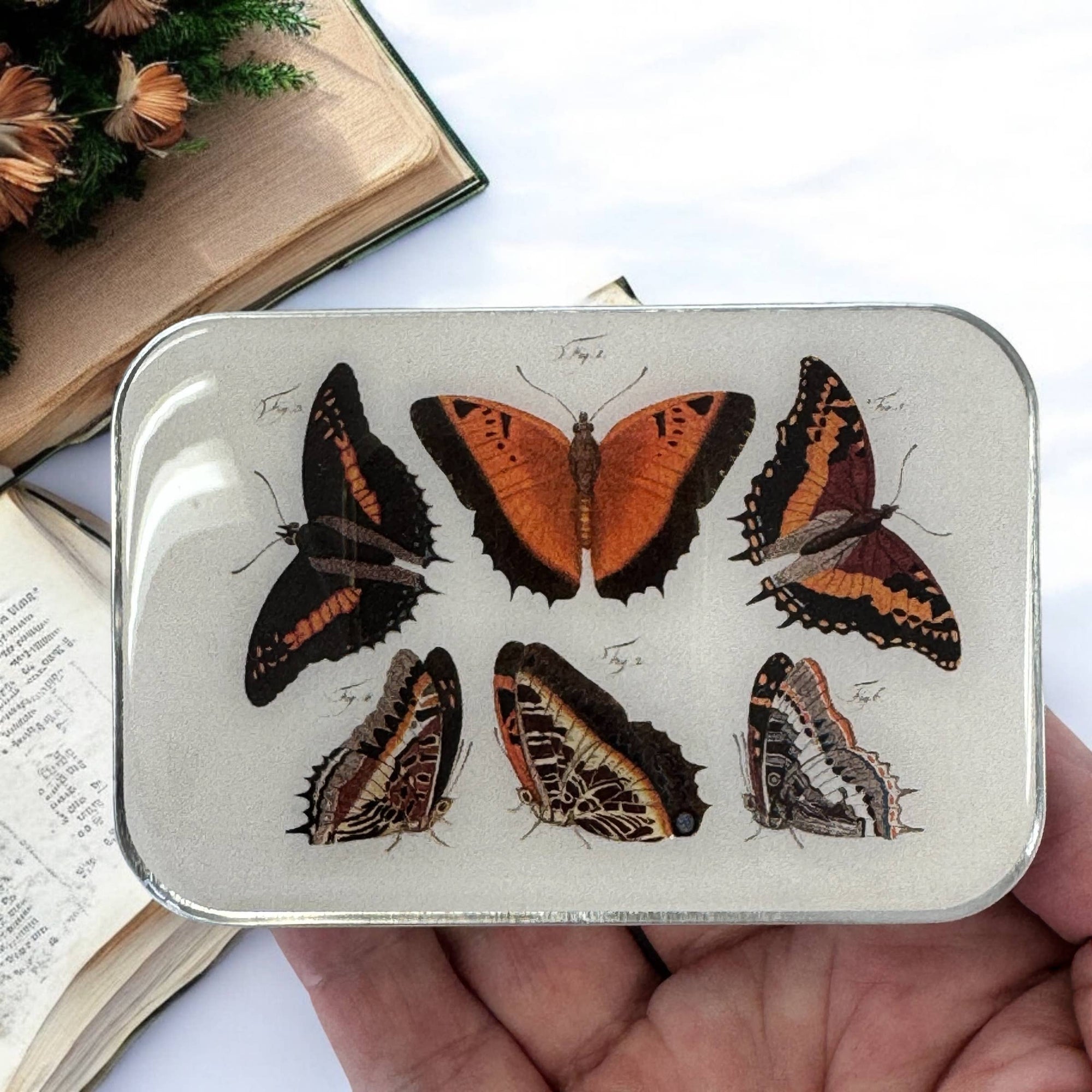 Orange Butterflies Trinket Tin