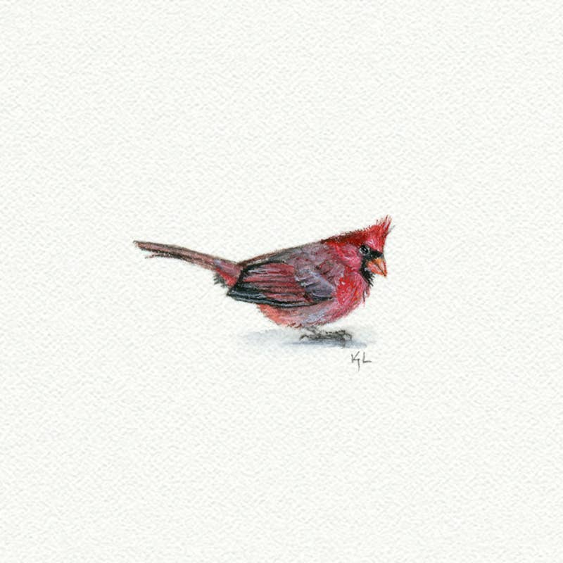Cardinal Miniature Watercolor Print