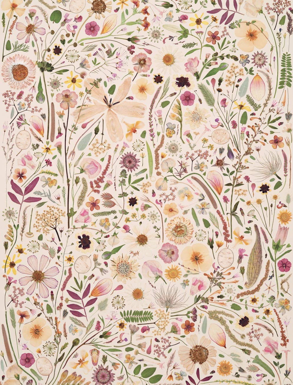 Beautiful Blooms Wrapping Paper Book