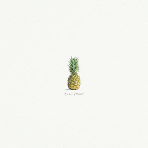 Pineapple Miniature Watercolor Print