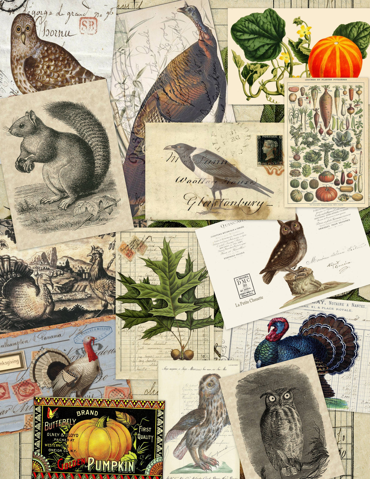 Fall Card