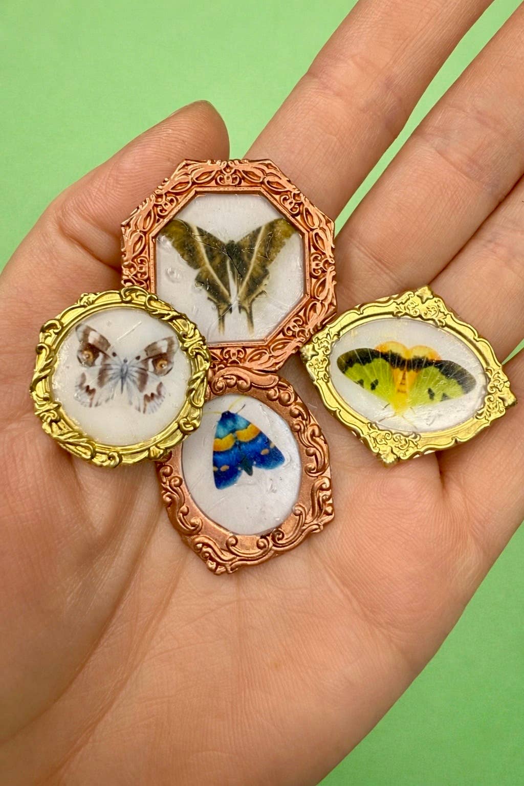 Moth Magnets
