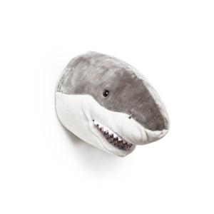 Jack the Shark Wall hanger