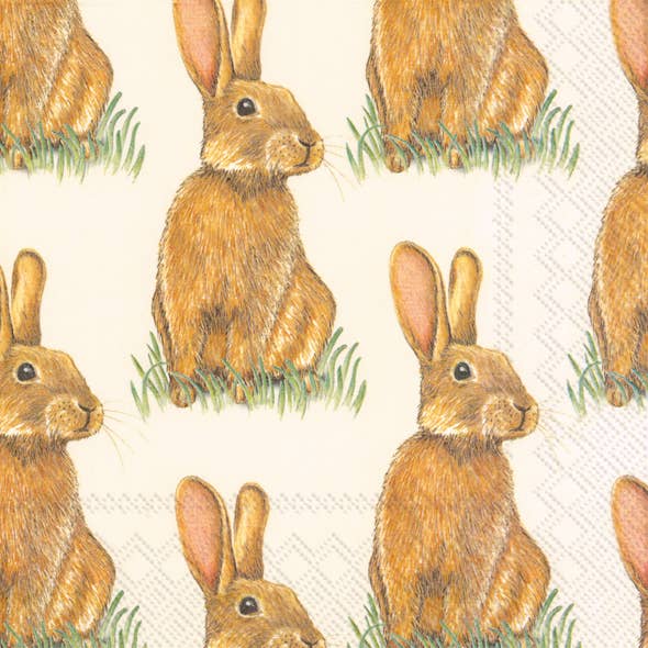 Easter Eddie Paper Lunch Napkins - Box Turtle