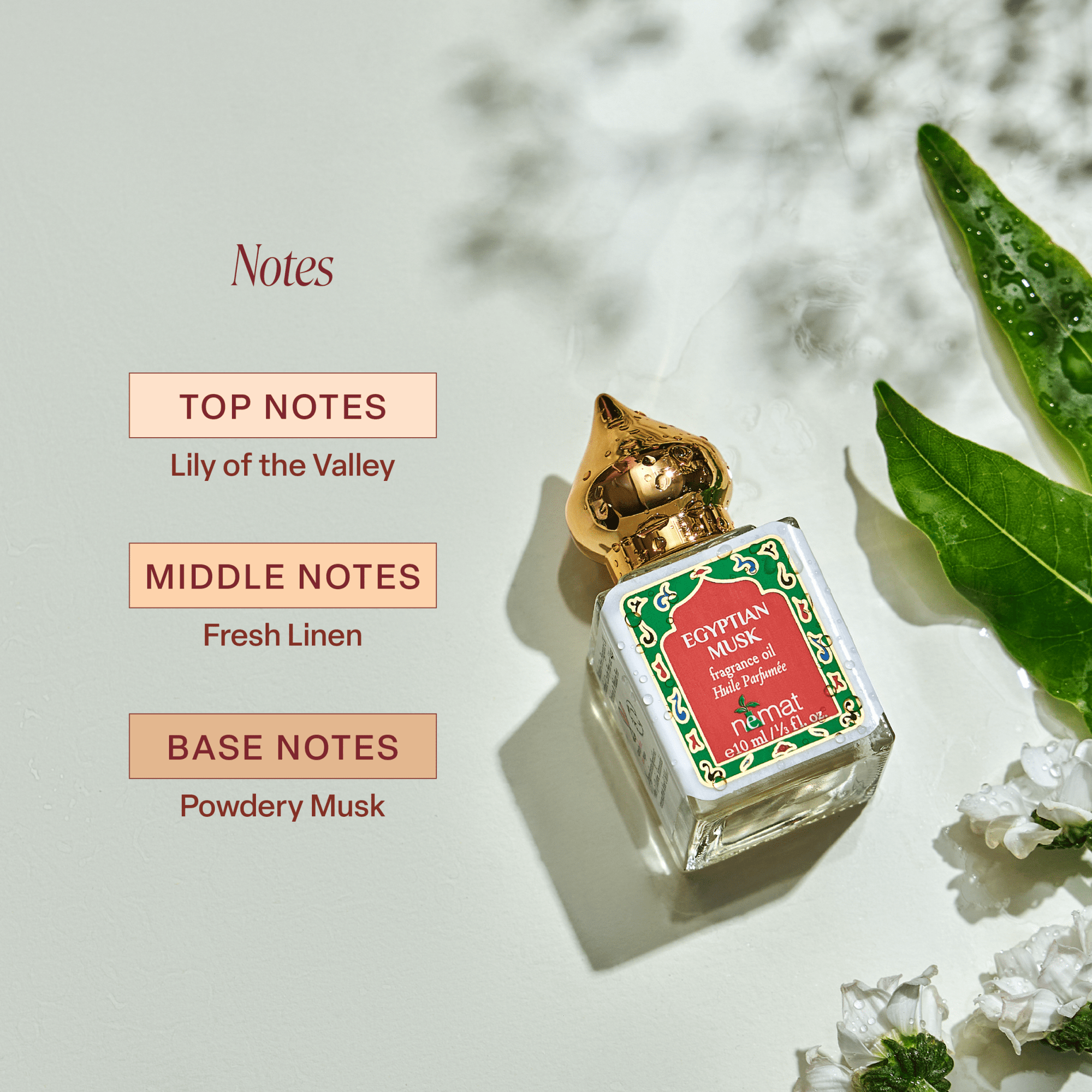 Egyptian Musk Perfume Oil - Box Turtle