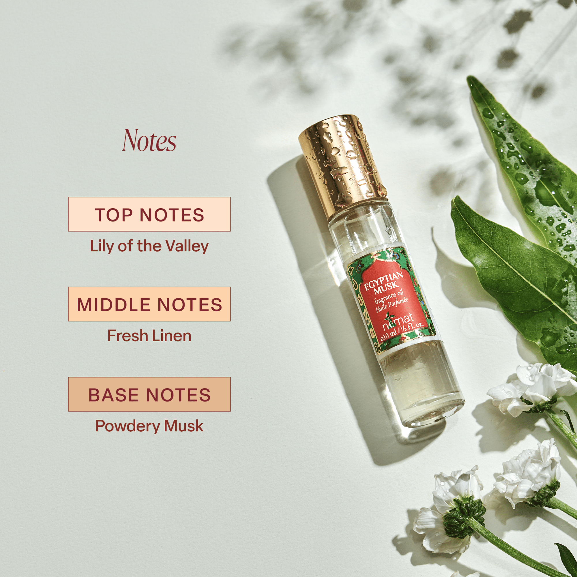 Egyptian Musk Perfume Oil - Box Turtle
