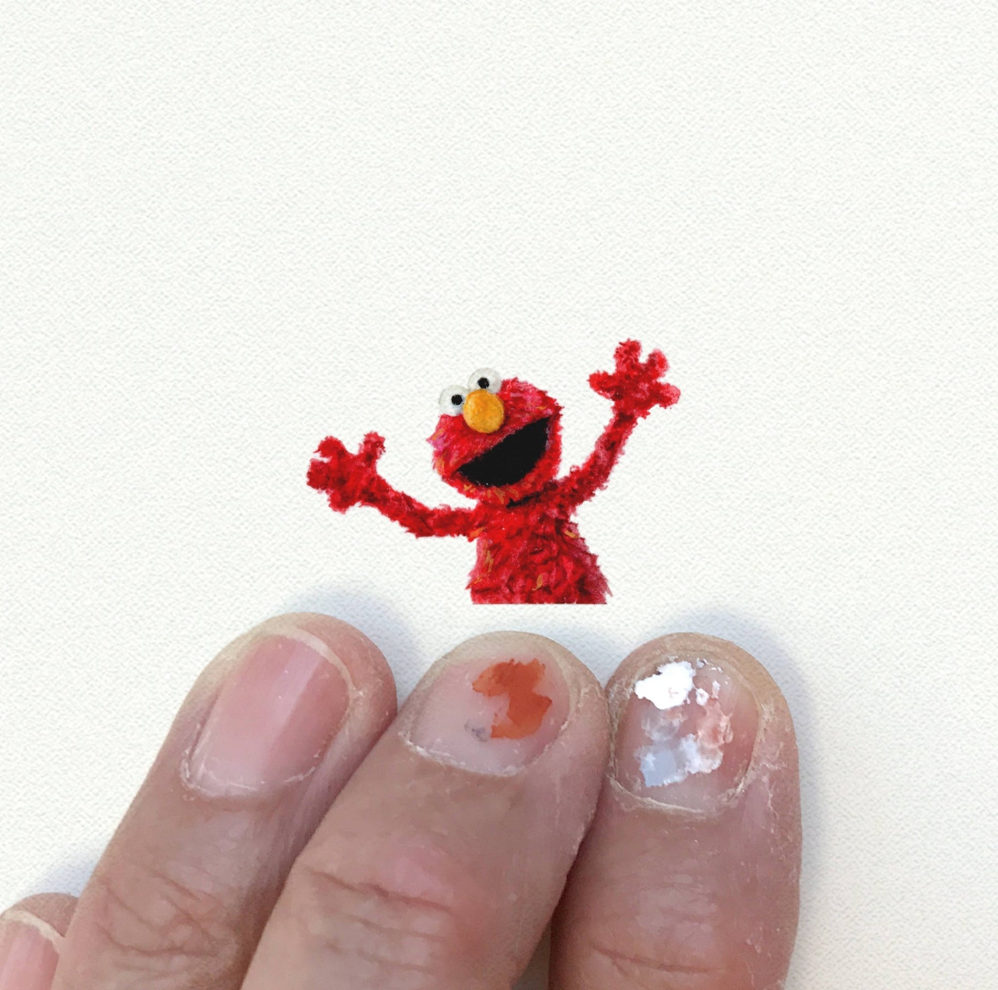 Elmo Miniature Watercolor Print - Box Turtle