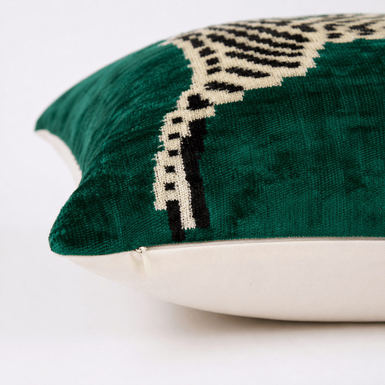 Emerald Zebra Silk Velvet Pillow - Box Turtle