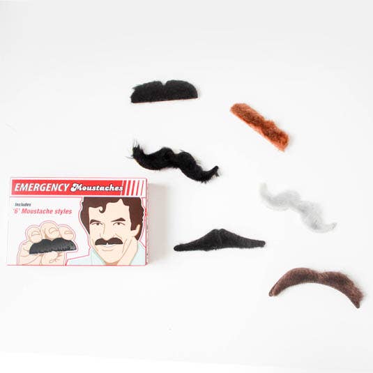 Emergency Moustaches Dress Up - Box Turtle