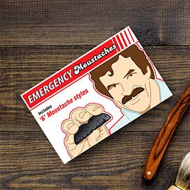 Emergency Moustaches Dress Up - Box Turtle