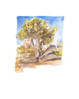 Emily Wood State Tree Watercolor Prints - Box Turtle