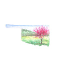 Emily Wood State Tree Watercolor Prints - Box Turtle