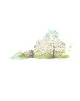 Emily Wood State Tree Watercolor Prints - Box Turtle