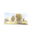 Emily Wood State Tree Watercolor Prints - Box Turtle