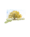 Emily Wood State Tree Watercolor Prints - Box Turtle
