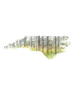 Emily Wood State Tree Watercolor Prints - Box Turtle
