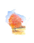 Emily Wood State Tree Watercolor Prints - Box Turtle