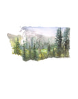 Emily Wood State Tree Watercolor Prints - Box Turtle