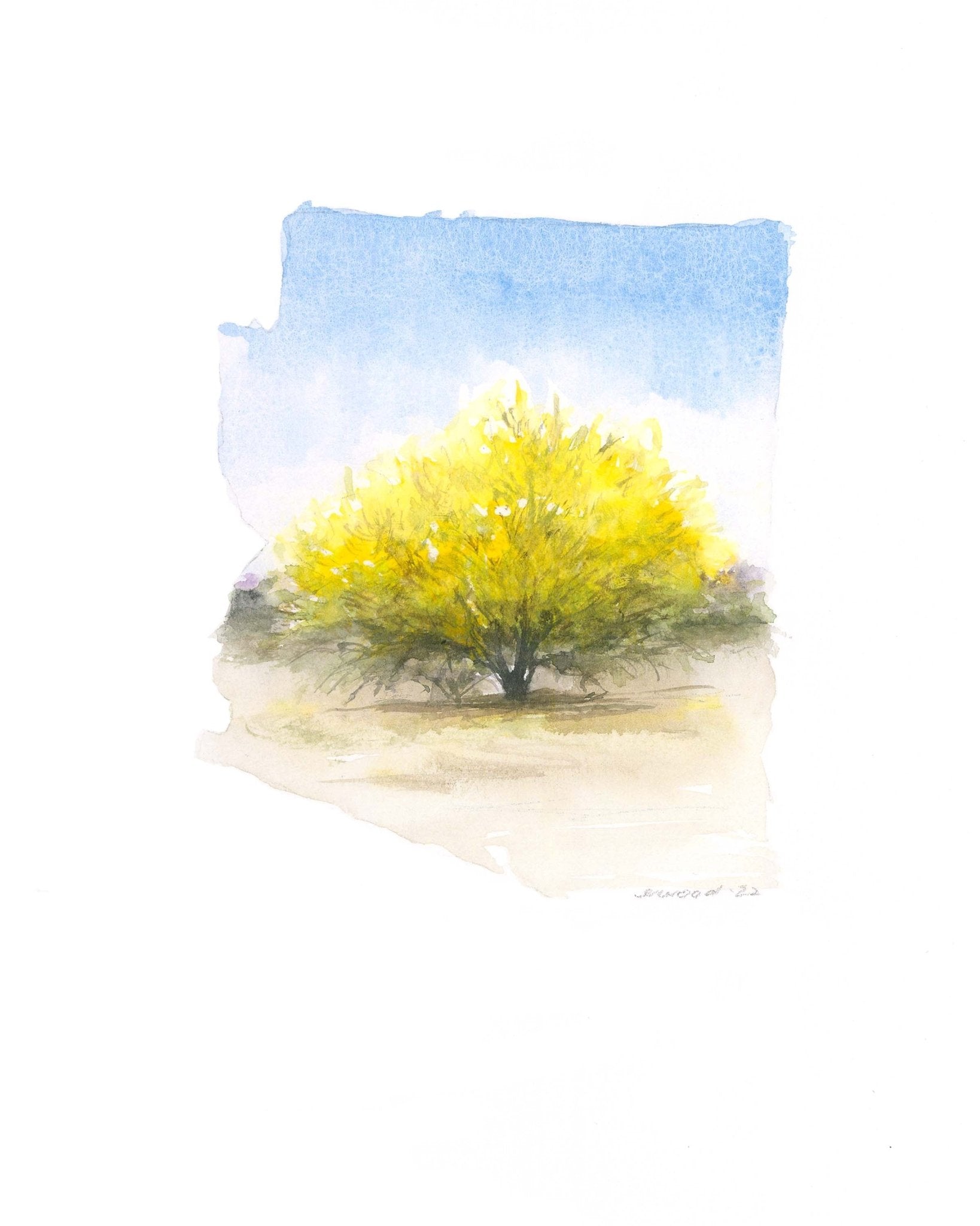 Emily Wood State Tree Watercolor Prints - Box Turtle