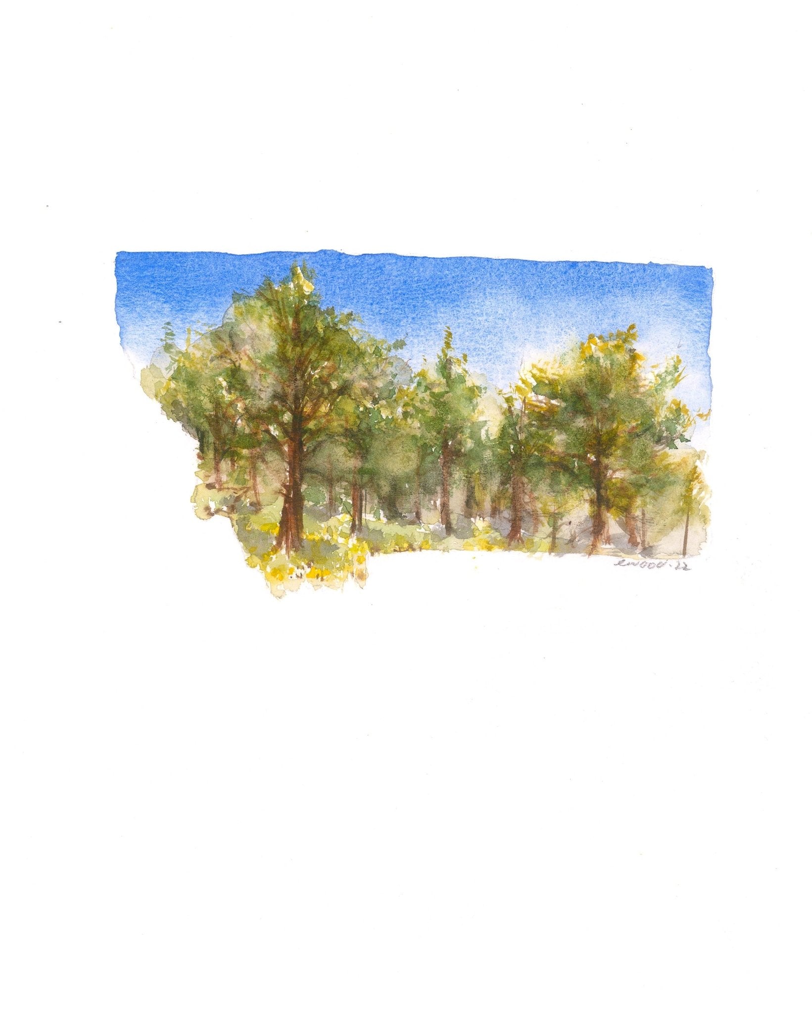 Emily Wood State Tree Watercolor Prints - Box Turtle