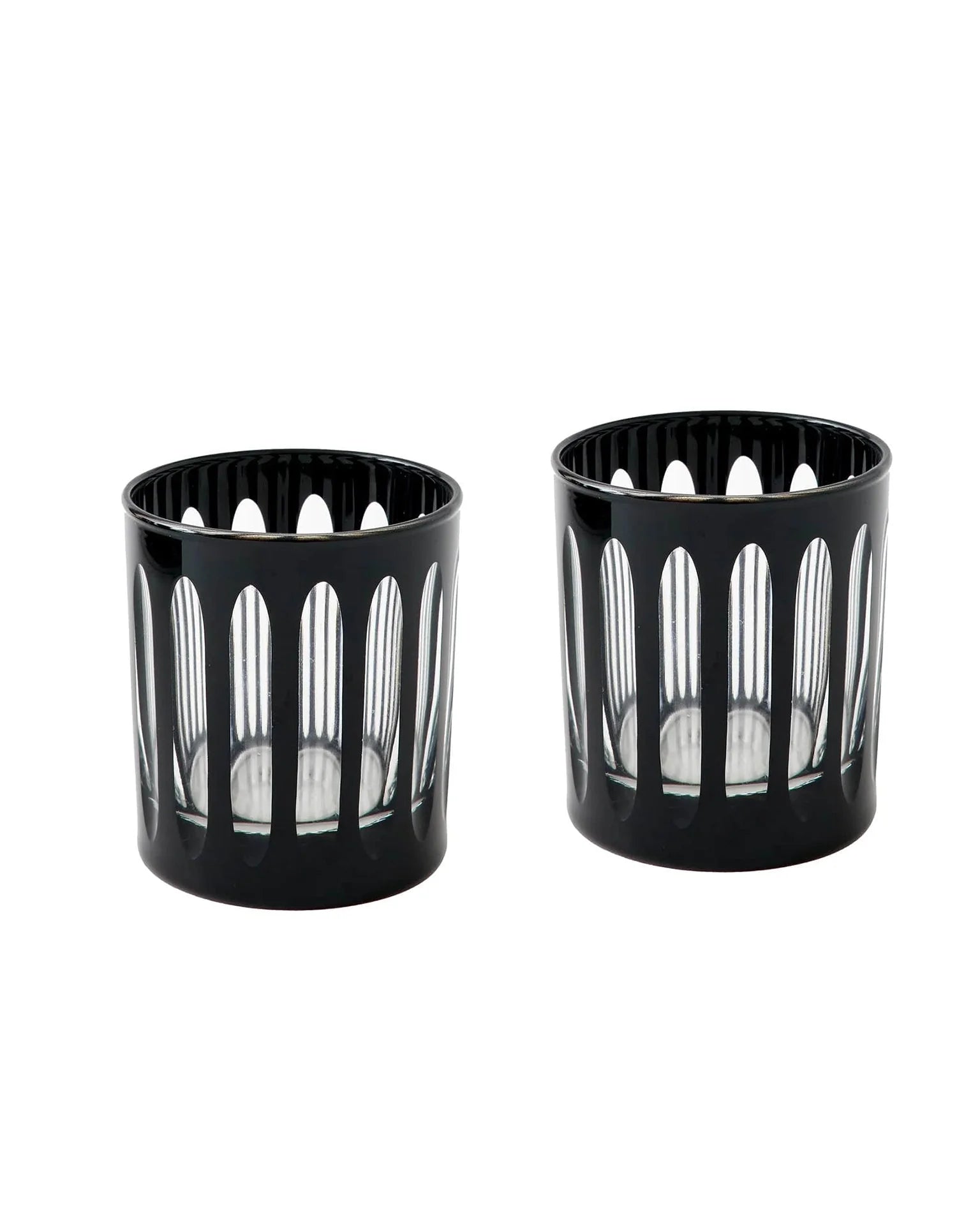 Empire Rocks Tuxedo - Box Turtle