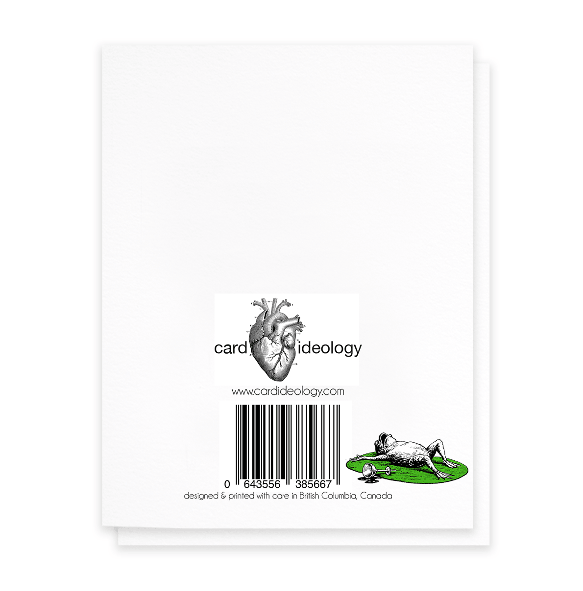 Enjoy Irresponsibly, Funny Birthday Greeting Card - Box Turtle