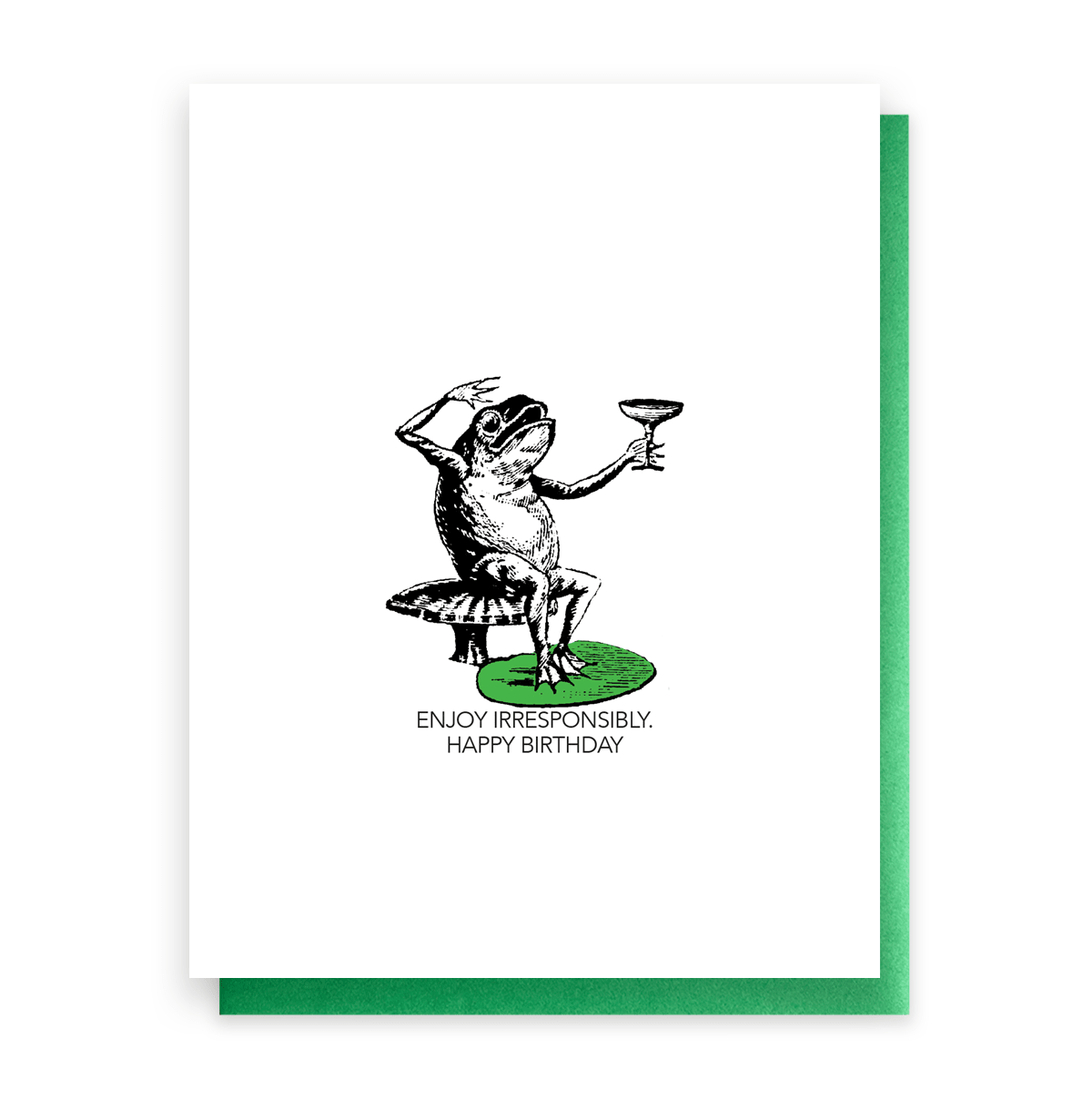 Enjoy Irresponsibly, Funny Birthday Greeting Card - Box Turtle